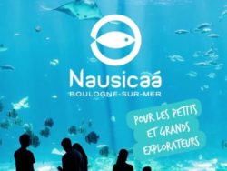 1 place Nausicaa Adulte