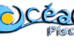 1 carte Piscine Adulte Océane pour 10 entrées